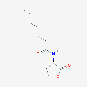 molecular formula C11H19NO3 B071747 N-庚酰高丝氨内酯 CAS No. 177158-20-2