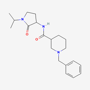 1-benzyl-N-(2-oxo-1-propan-2-ylpyrrolidin-3-yl)piperidine-3-carboxamide