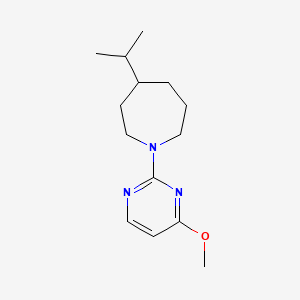 1-(4-Methoxypyrimidin-2-yl)-4-propan-2-ylazepane