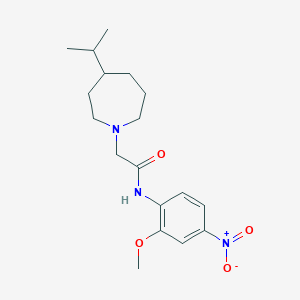 N-(2-methoxy-4-nitrophenyl)-2-(4-propan-2-ylazepan-1-yl)acetamide