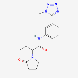 N-[3-(1-methyltetrazol-5-yl)phenyl]-2-(2-oxopyrrolidin-1-yl)butanamide