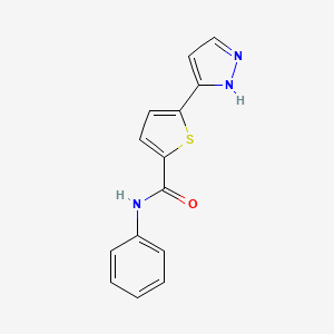 N-phenyl-5-(1H-pyrazol-5-yl)thiophene-2-carboxamide