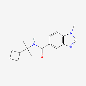 N-(2-cyclobutylpropan-2-yl)-1-methylbenzimidazole-5-carboxamide