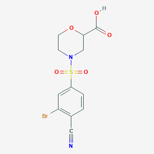 4-(3-Bromo-4-cyanophenyl)sulfonylmorpholine-2-carboxylic acid