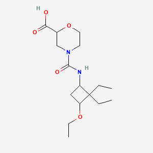 4-[(3-Ethoxy-2,2-diethylcyclobutyl)carbamoyl]morpholine-2-carboxylic acid