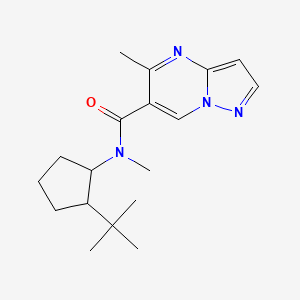 N-(2-tert-butylcyclopentyl)-N,5-dimethylpyrazolo[1,5-a]pyrimidine-6-carboxamide