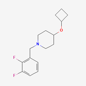 4-Cyclobutyloxy-1-[(2,3-difluorophenyl)methyl]piperidine