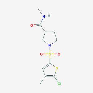 1-(5-chloro-4-methylthiophen-2-yl)sulfonyl-N-methylpyrrolidine-3-carboxamide