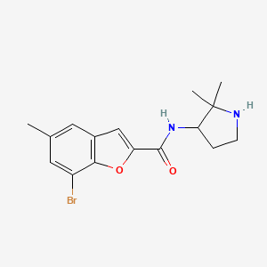 7-bromo-N-(2,2-dimethylpyrrolidin-3-yl)-5-methyl-1-benzofuran-2-carboxamide