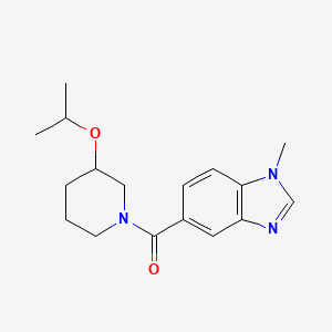 (1-Methylbenzimidazol-5-yl)-(3-propan-2-yloxypiperidin-1-yl)methanone