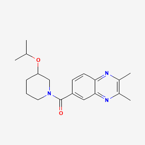 (2,3-Dimethylquinoxalin-6-yl)-(3-propan-2-yloxypiperidin-1-yl)methanone