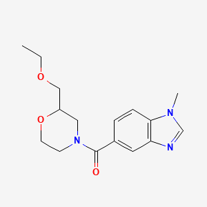 [2-(Ethoxymethyl)morpholin-4-yl]-(1-methylbenzimidazol-5-yl)methanone