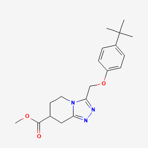 molecular formula C19H25N3O3 B7267684 Methyl 3-[(4-tert-butylphenoxy)methyl]-5,6,7,8-tetrahydro-[1,2,4]triazolo[4,3-a]pyridine-7-carboxylate 