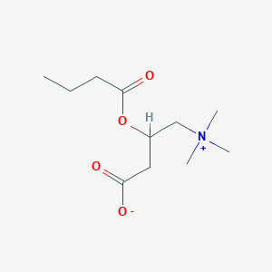 molecular formula C11H21NO4 B072695 O-丁酰肉碱 CAS No. 1492-26-8