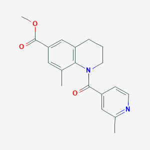 molecular formula C19H20N2O3 B7278712 methyl 8-methyl-1-(2-methylpyridine-4-carbonyl)-3,4-dihydro-2H-quinoline-6-carboxylate 