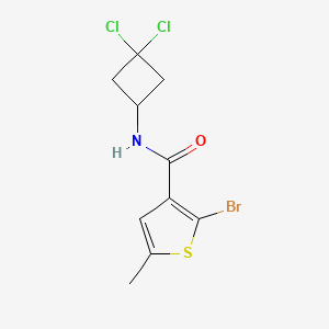 2-bromo-N-(3,3-dichlorocyclobutyl)-5-methylthiophene-3-carboxamide