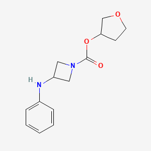 Oxolan-3-yl 3-anilinoazetidine-1-carboxylate