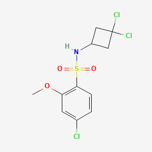 4-chloro-N-(3,3-dichlorocyclobutyl)-2-methoxybenzenesulfonamide