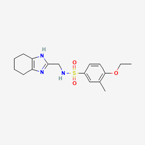 4-ethoxy-3-methyl-N-(4,5,6,7-tetrahydro-1H-benzimidazol-2-ylmethyl)benzenesulfonamide