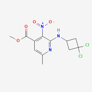 molecular formula C12H13Cl2N3O4 B7281766 Methyl 2-[(3,3-dichlorocyclobutyl)amino]-6-methyl-3-nitropyridine-4-carboxylate 