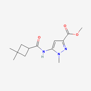 molecular formula C13H19N3O3 B7302706 Methyl 5-[(3,3-dimethylcyclobutanecarbonyl)amino]-1-methylpyrazole-3-carboxylate 