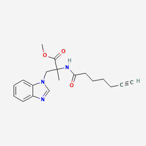 molecular formula C19H23N3O3 B7303306 Methyl 3-(benzimidazol-1-yl)-2-(hept-6-ynoylamino)-2-methylpropanoate 