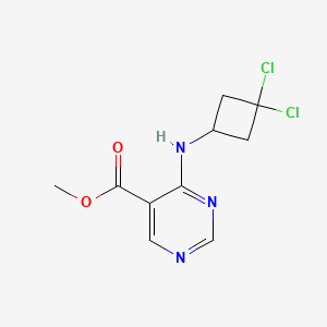 molecular formula C10H11Cl2N3O2 B7305218 Methyl 4-[(3,3-dichlorocyclobutyl)amino]pyrimidine-5-carboxylate 