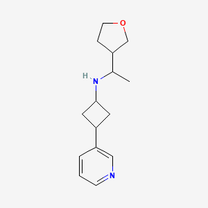 N-[1-(oxolan-3-yl)ethyl]-3-pyridin-3-ylcyclobutan-1-amine