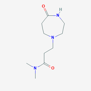 molecular formula C10H19N3O2 B7327935 N,N-dimethyl-3-(5-oxo-1,4-diazepan-1-yl)propanamide 