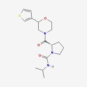 molecular formula C17H25N3O3S B7331379 (2S)-N-propan-2-yl-2-(2-thiophen-3-ylmorpholine-4-carbonyl)pyrrolidine-1-carboxamide 