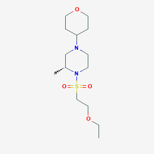 molecular formula C14H28N2O4S B7333756 (2R)-1-(2-ethoxyethylsulfonyl)-2-methyl-4-(oxan-4-yl)piperazine 