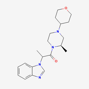 2-(benzimidazol-1-yl)-1-[(2R)-2-methyl-4-(oxan-4-yl)piperazin-1-yl]propan-1-one