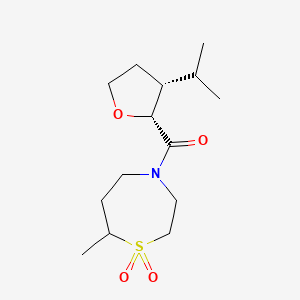 molecular formula C14H25NO4S B7335977 (7-methyl-1,1-dioxo-1,4-thiazepan-4-yl)-[(2R,3R)-3-propan-2-yloxolan-2-yl]methanone 