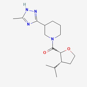 molecular formula C16H26N4O2 B7336010 [3-(5-methyl-1H-1,2,4-triazol-3-yl)piperidin-1-yl]-[(2R,3R)-3-propan-2-yloxolan-2-yl]methanone 