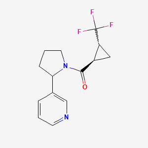 (2-pyridin-3-ylpyrrolidin-1-yl)-[(1R,2R)-2-(trifluoromethyl)cyclopropyl]methanone