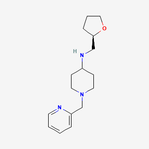 N-[[(2R)-oxolan-2-yl]methyl]-1-(pyridin-2-ylmethyl)piperidin-4-amine