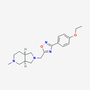 molecular formula C19H26N4O2 B7346099 5-[[(3aR,7aR)-5-methyl-3,3a,4,6,7,7a-hexahydro-1H-pyrrolo[3,4-c]pyridin-2-yl]methyl]-3-(4-ethoxyphenyl)-1,2,4-oxadiazole 