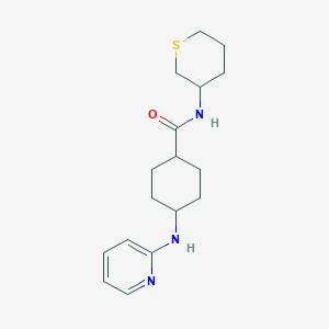 molecular formula C17H25N3OS B7353901 4-(pyridin-2-ylamino)-N-(thian-3-yl)cyclohexane-1-carboxamide 