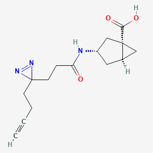 (1S,3S,5S)-3-[3-(3-but-3-ynyldiazirin-3-yl)propanoylamino]bicyclo[3.1.0]hexane-1-carboxylic acid