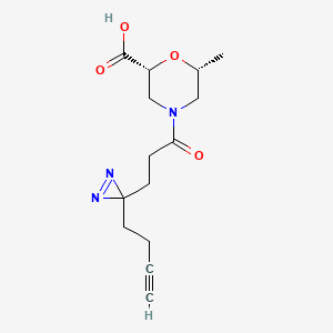 (2R,6R)-4-[3-(3-but-3-ynyldiazirin-3-yl)propanoyl]-6-methylmorpholine-2-carboxylic acid