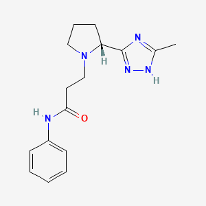 3-[(2R)-2-(5-methyl-1H-1,2,4-triazol-3-yl)pyrrolidin-1-yl]-N-phenylpropanamide