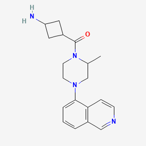 molecular formula C19H24N4O B7359976 (3-Aminocyclobutyl)-(4-isoquinolin-5-yl-2-methylpiperazin-1-yl)methanone 