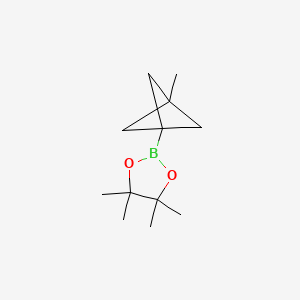 molecular formula C12H21BO2 B7360047 4,4,5,5-Tetramethyl-2-{3-methylbicyclo[1.1.1]pentan-1-yl}-1,3,2-dioxaborolane 