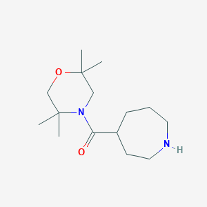 molecular formula C15H28N2O2 B7361515 Azepan-4-yl-(2,2,5,5-tetramethylmorpholin-4-yl)methanone 