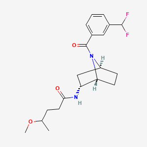 N-[(1R,2R,4S)-7-[3-(difluoromethyl)benzoyl]-7-azabicyclo[2.2.1]heptan-2-yl]-4-methoxypentanamide