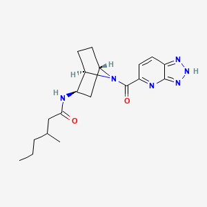 molecular formula C19H26N6O2 B7408132 3-methyl-N-[(1R,2R,4S)-7-(2H-triazolo[4,5-b]pyridine-5-carbonyl)-7-azabicyclo[2.2.1]heptan-2-yl]hexanamide 