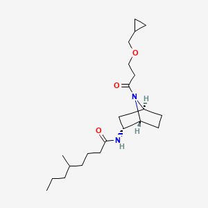 N-[(1R,2R,4S)-7-[3-(cyclopropylmethoxy)propanoyl]-7-azabicyclo[2.2.1]heptan-2-yl]-5-methyloctanamide