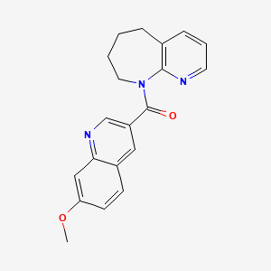 molecular formula C20H19N3O2 B7409211 (7-Methoxyquinolin-3-yl)-(5,6,7,8-tetrahydropyrido[2,3-b]azepin-9-yl)methanone 