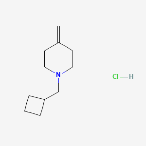 1-(Cyclobutylmethyl)-4-methylidenepiperidine;hydrochloride