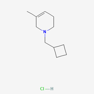 molecular formula C11H20ClN B7410560 1-(cyclobutylmethyl)-5-methyl-3,6-dihydro-2H-pyridine;hydrochloride 